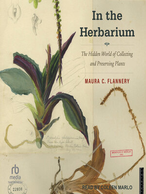 cover image of In the Herbarium